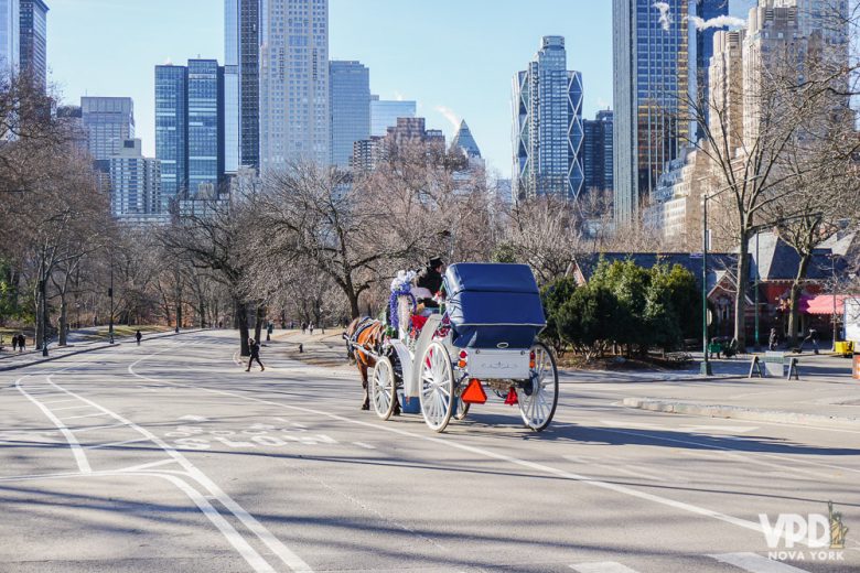 Foto de uma das carruagens do Central Park, puxada por cavalos, durante o passeio pelo parque 