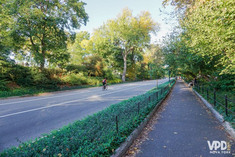 O clima em outubro é ameno, mas a lotação e o preço aumentam. Foto das árvores bem verdes em um parque 