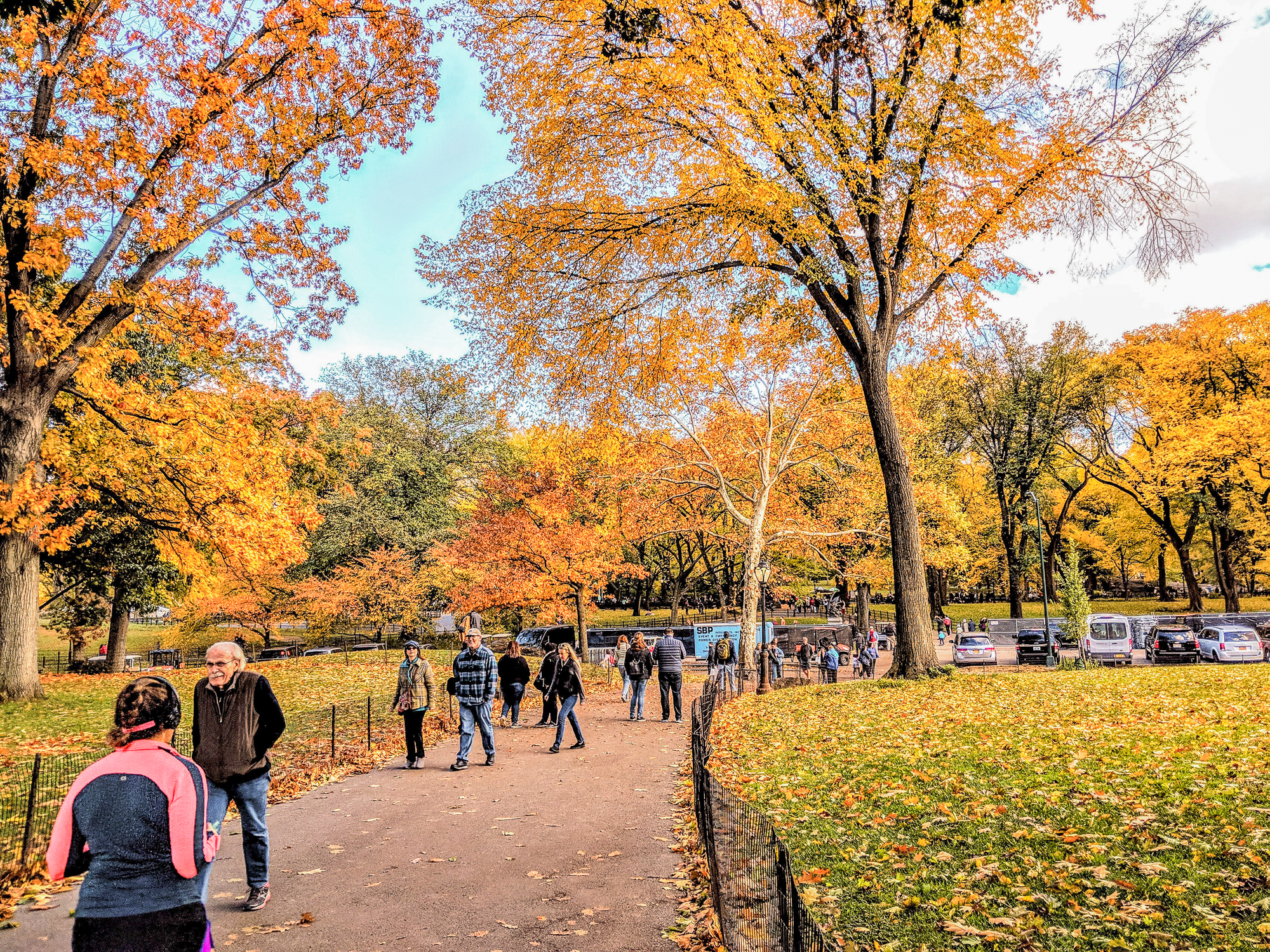 Foto de Nova York no outono, com as árvores do Central Park em tons de amarelo e laranja