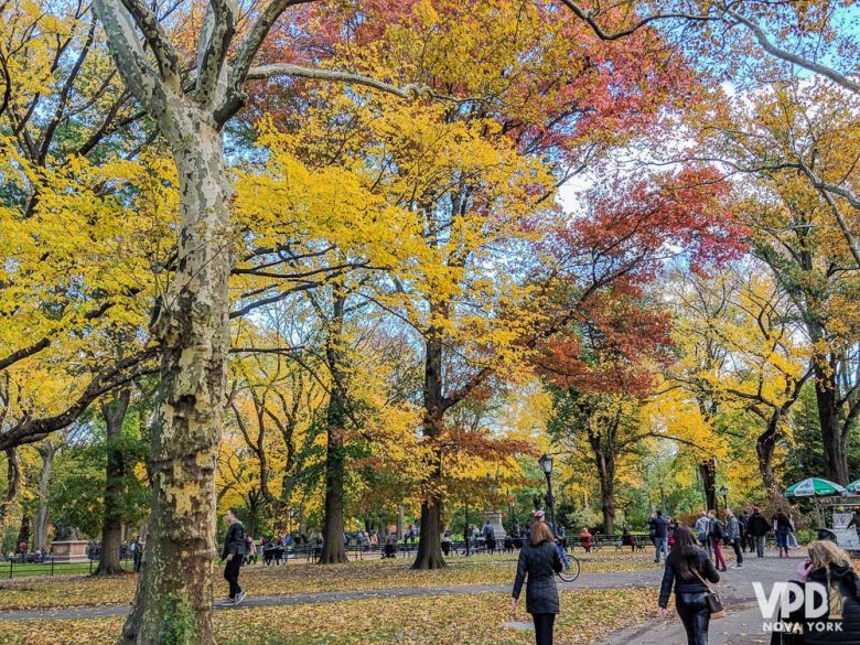 A temperatura muda e toda a paisagem da cidade também! Foto de Nova York no outono, com as árvores do Central Park em tons de amarelo, vermelho e laranja 