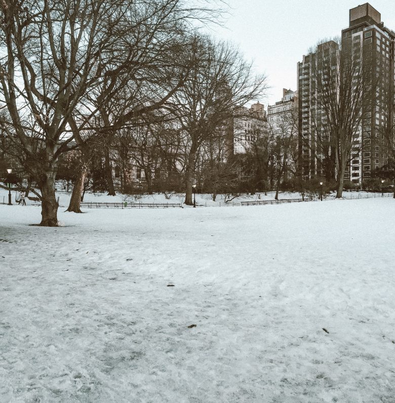 Foto de árvores e prédios de Nova York com uma camada de neve sobre o chão