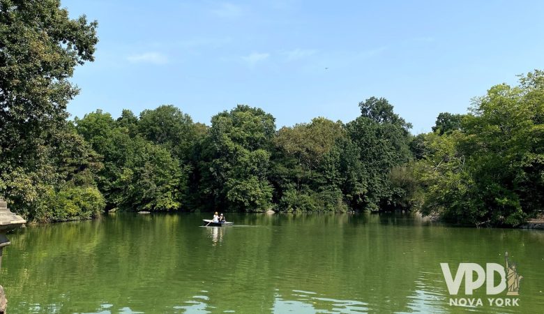Foto do lago do central park. A água é bem verde, há muitas árvores e dá pra ver um casal remando.