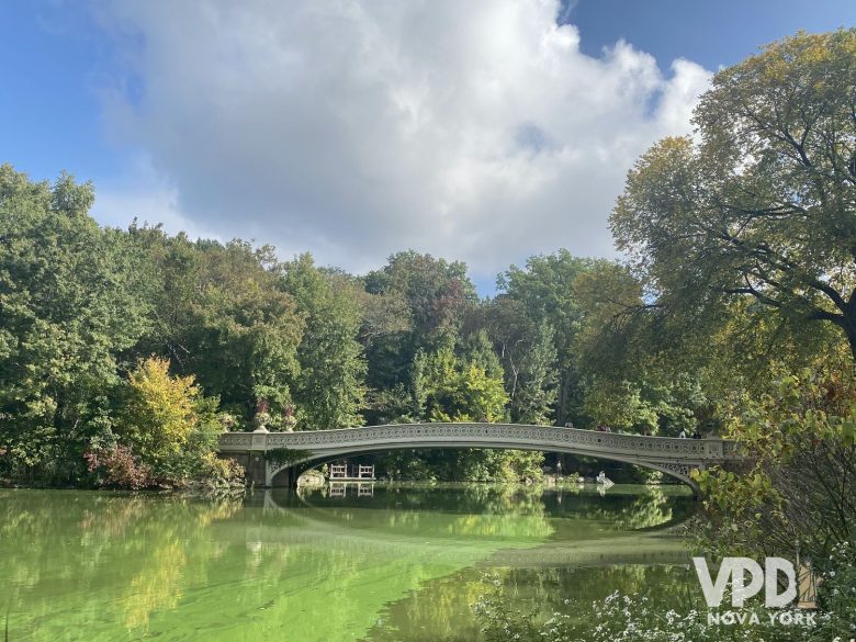 Foto da ponte Bow Bridge. Ela está em meio a várias árvores.