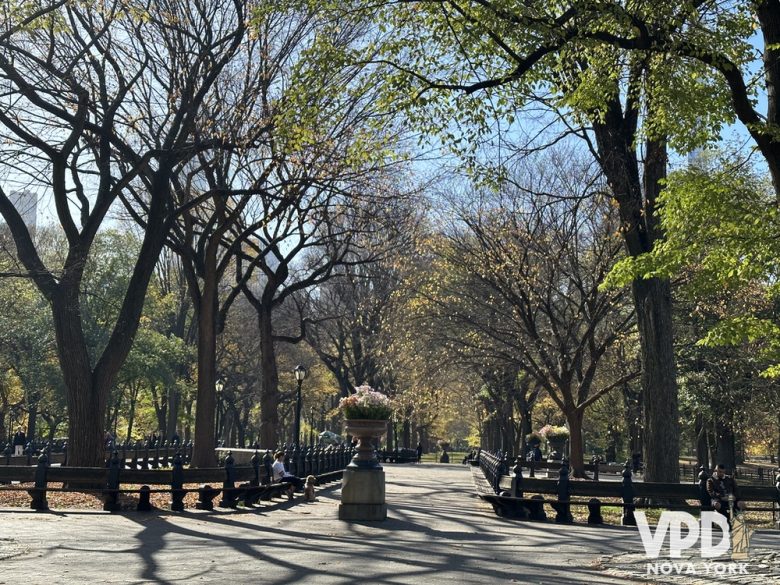 Foto do The Mall, área do Central Park com muitas árvores e bancos.