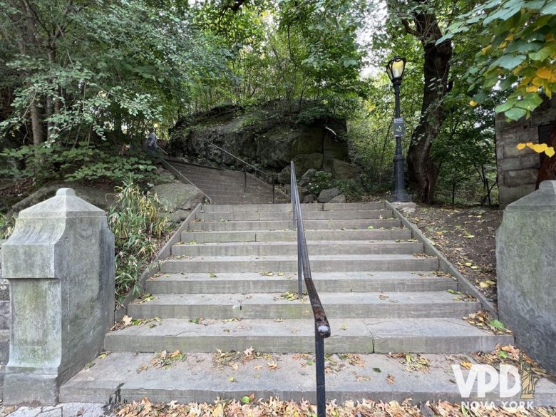foto de uma escadaria alta feita de concreto que dá acesso ao parque.