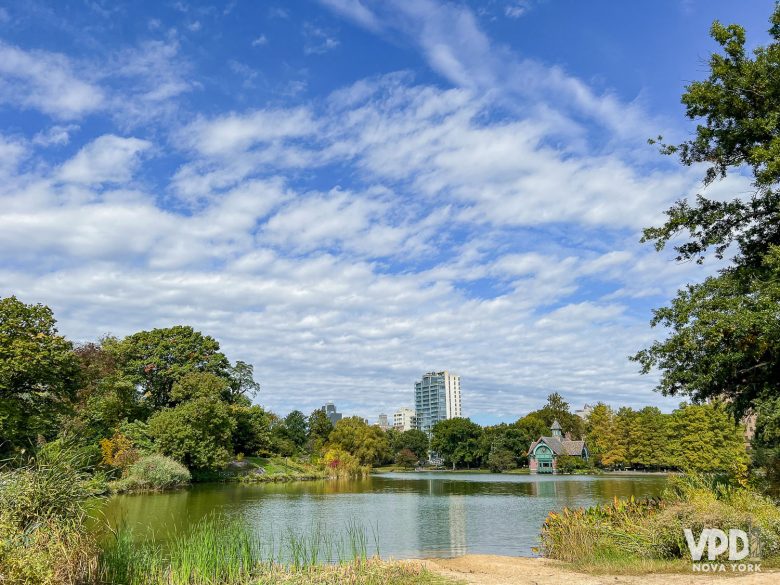 foto do lago com árvores com folhas verdes, amarelas e vermelhas ao redor.