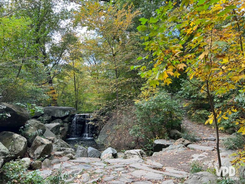 foto de uma área mais tranquila do parque, com uma pequena cachoeira ao fundo, uma trilha de pedras e árvores com folhas verdes e amarelas.